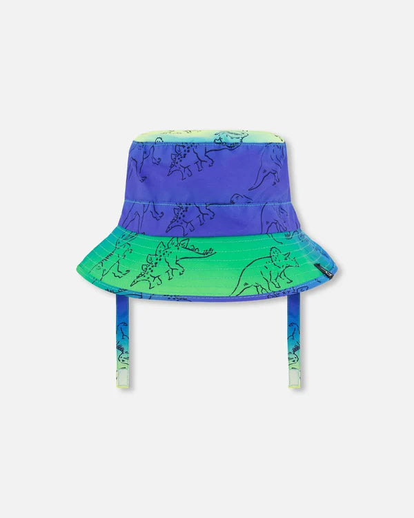 DINOSAURS HAT