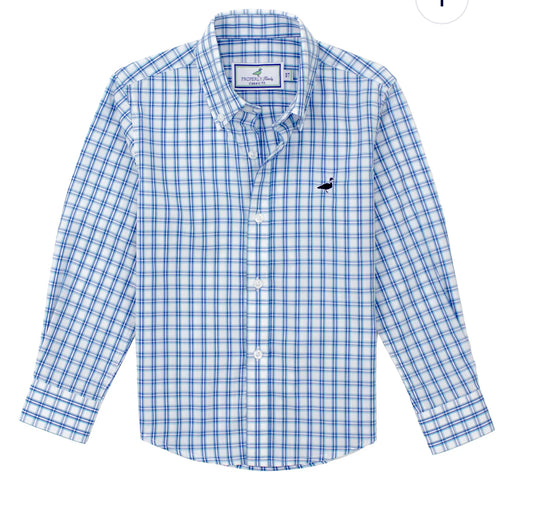 Sport shirt sailfish￼
