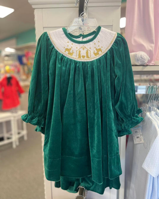 Green velour smocked dress